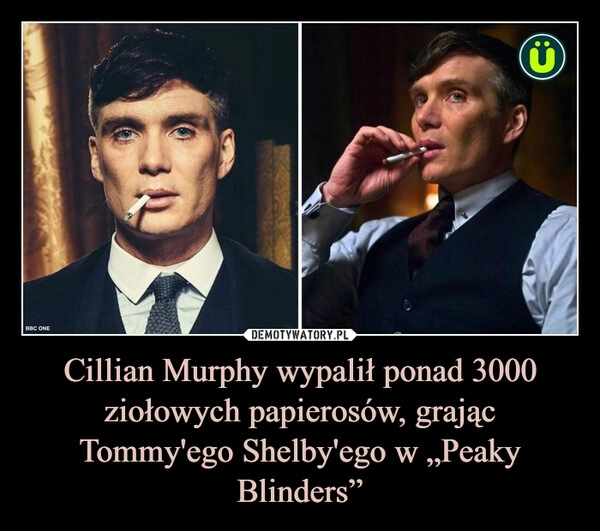 
    Cillian Murphy wypalił ponad 3000 ziołowych papierosów, grając Tommy'ego Shelby'ego w „Peaky Blinders”