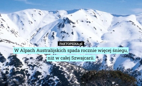 
    W Alpach Australijskich spada rocznie więcej śniegu,
niż w całej Szwajcarii.