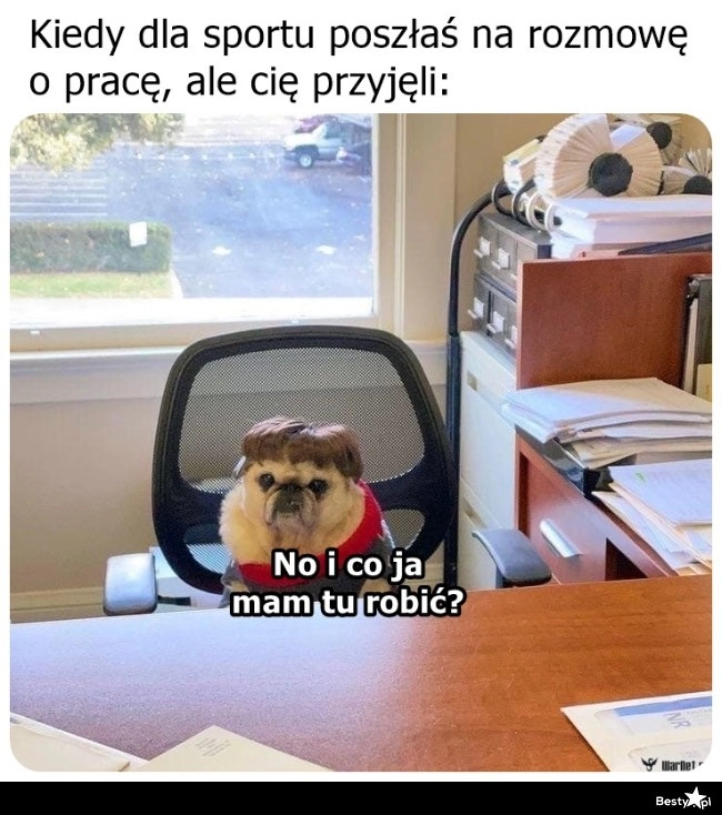 
    Nie tak miało być 