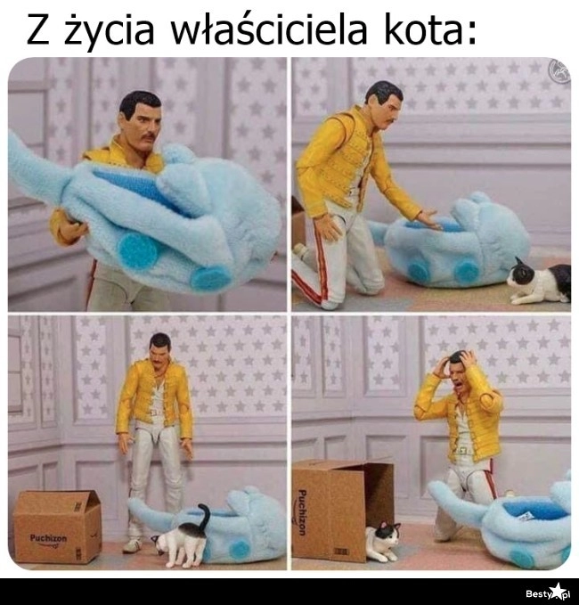 
    Tylko pudełka i pudełka 