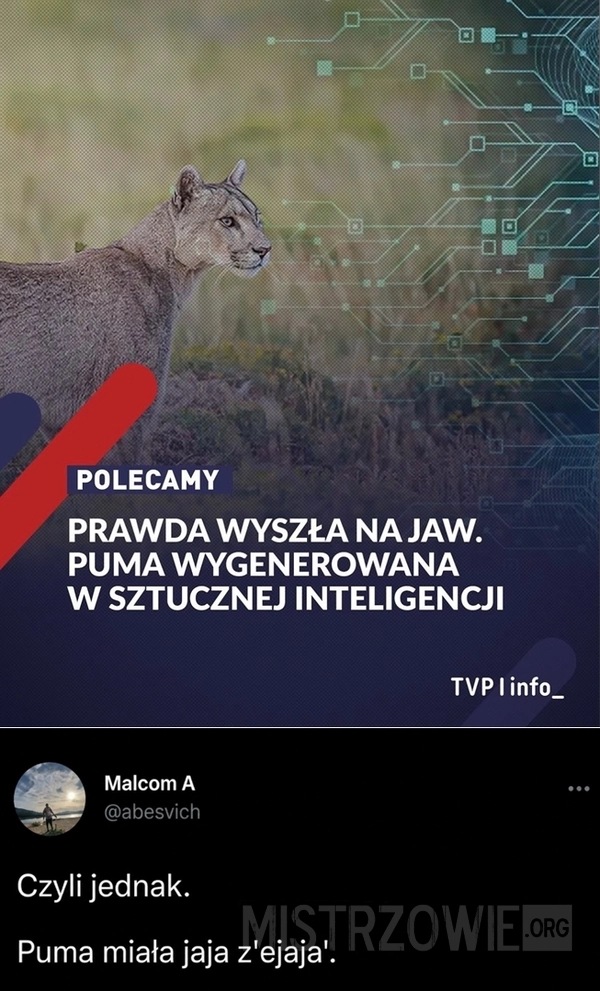 
    Puma z AI