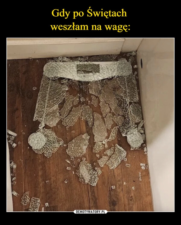 
    
Gdy po Świętach
weszłam na wagę: 