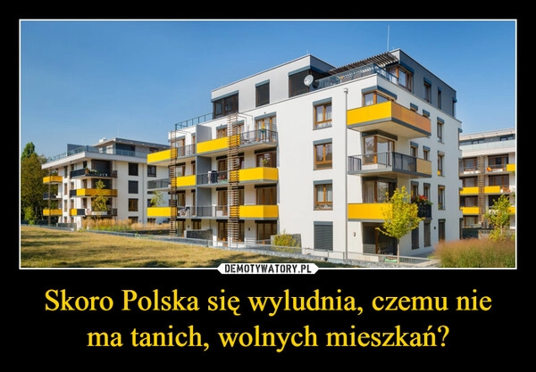 
    Skoro Polska się wyludnia, czemu nie ma tanich, wolnych mieszkań?