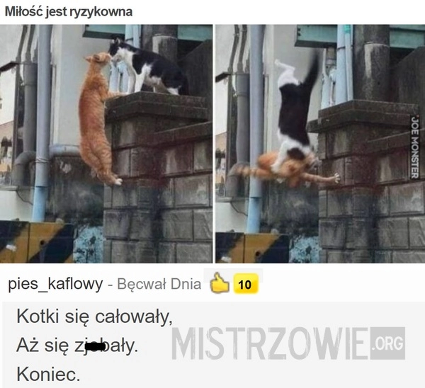 
    
			Miłość jest ryzykowna					