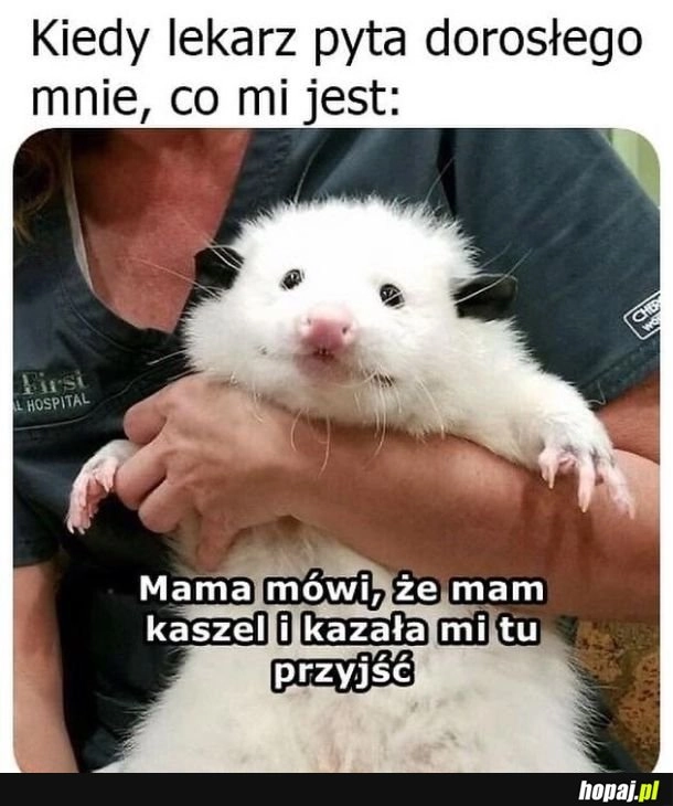 
    Wizyta