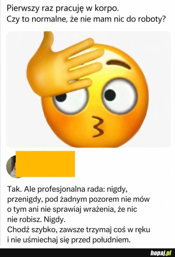 
    Nowa praca