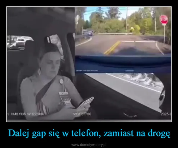 Dalej gap się w telefon, zamiast na drogę