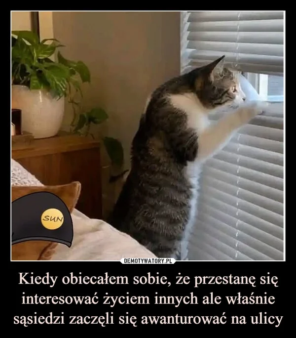 Kiedy obiecałem sobie, że przestanę się interesować życiem innych ale właśnie sąsiedzi zaczęli się awanturować na ulicy