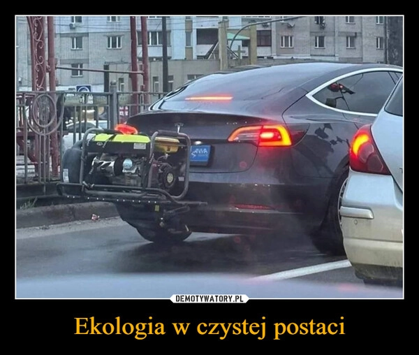 
    Ekologia w czystej postaci