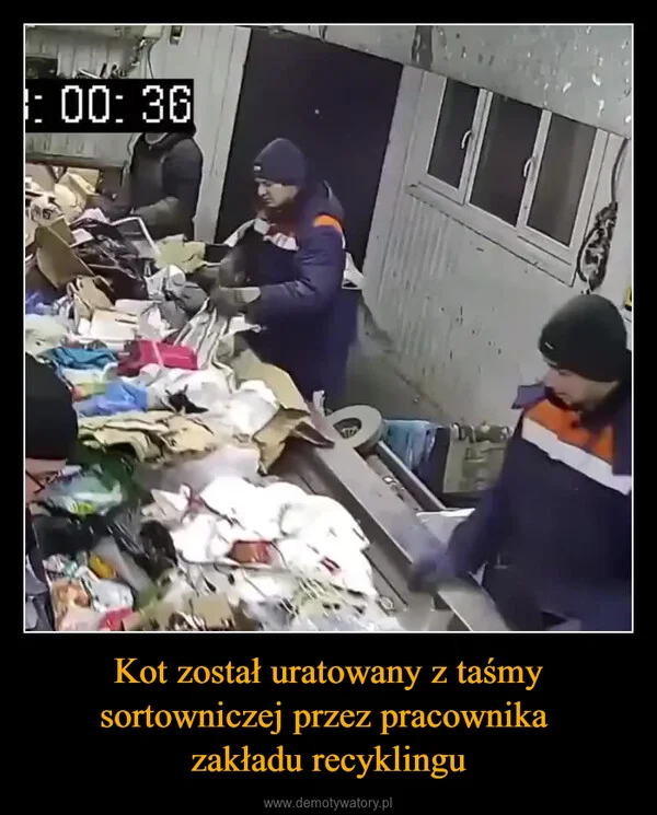 
    Kot został uratowany z taśmy sortowniczej przez pracownika zakładu recyklingu