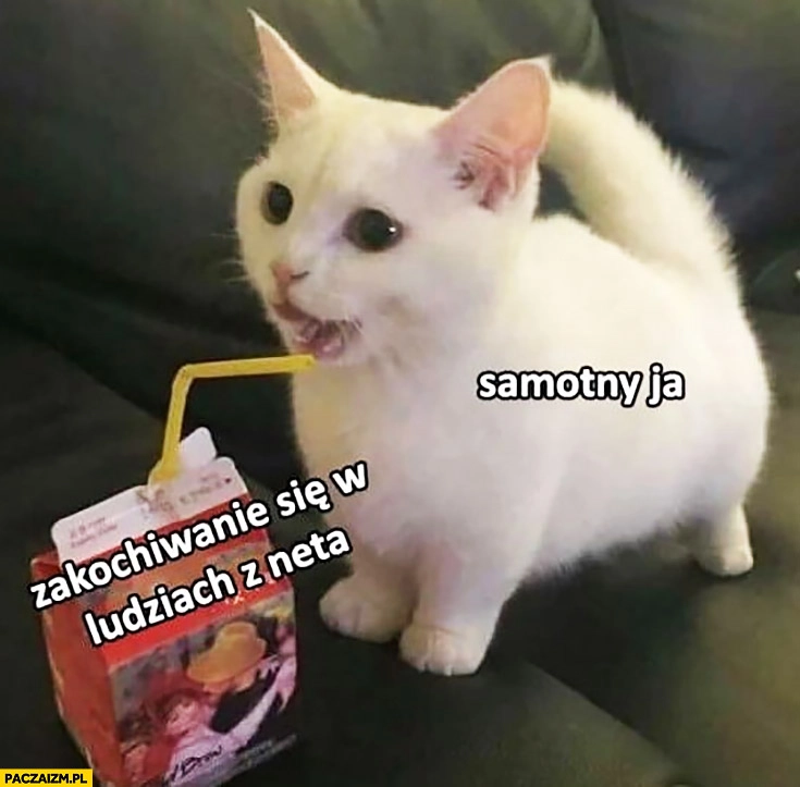 
    Samotny ja vs zakochiwanie się w ludziach z neta kotek