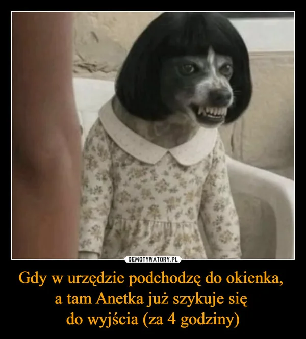 
    Gdy w urzędzie podchodzę do okienka, a tam Anetka już szykuje się do wyjścia (za 4 godziny)