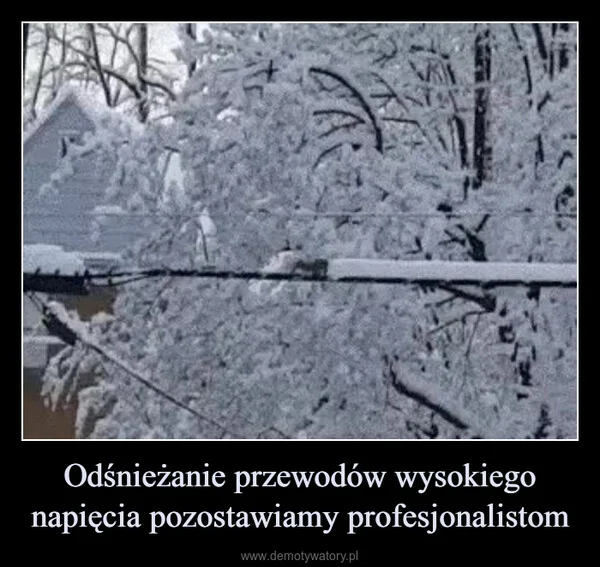 
    Odśnieżanie przewodów wysokiego napięcia pozostawiamy profesjonalistom