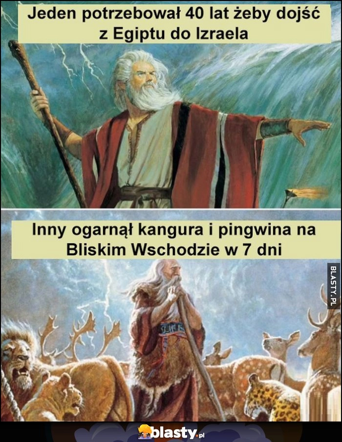 
    Mojżesz jeden potrzebował 40 lat żeby dojść z Egiptu do Izraela, Noe inny ogarnął kangura i pingwina na Bliskim Wschodzie w 7 dni