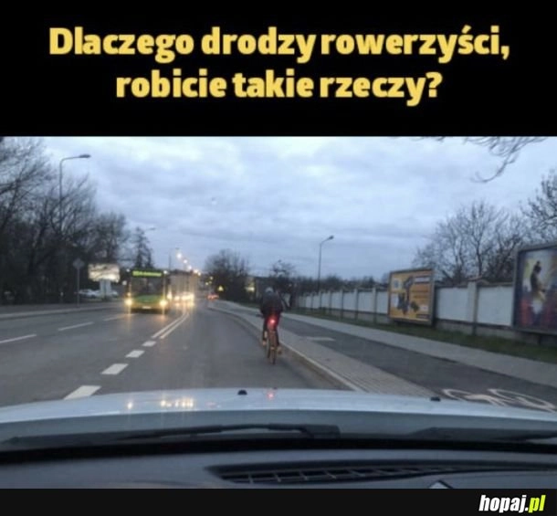 
    Szczególnie jeśli na drodze rowerowej jest również wylany asfalt, a nie kostka