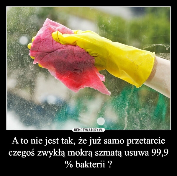 
    A to nie jest tak, że już samo przetarcie czegoś zwykłą mokrą szmatą usuwa 99,9 % bakterii ?