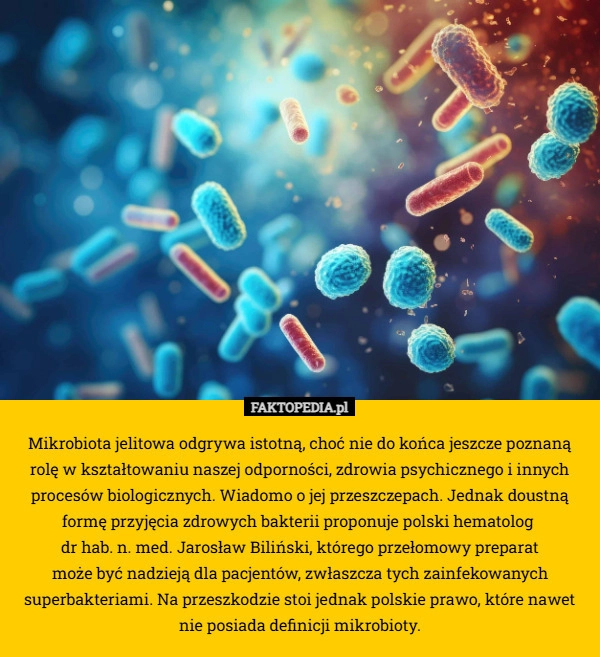 
    Mikrobiota jelitowa odgrywa istotną, choć nie do końca jeszcze poznaną rolę