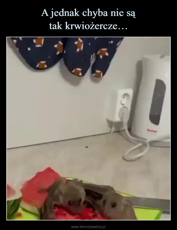 A jednak chyba nie są tak krwiożercze…