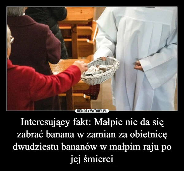 
    Interesujący fakt: Małpie nie da się zabrać banana w zamian za obietnicę dwudziestu bananów w małpim raju po jej śmierci