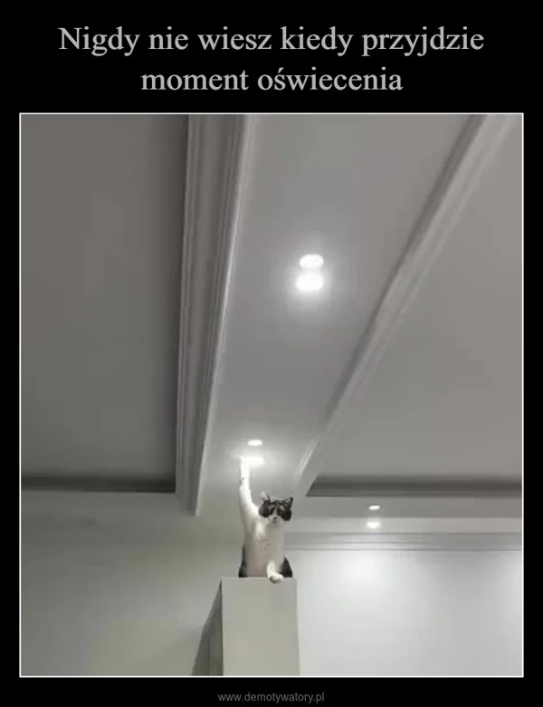 
    Nigdy nie wiesz kiedy przyjdzie moment oświecenia