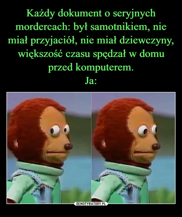 
    Każdy dokument o seryjnych mordercach: był samotnikiem, nie miał przyjaciół, nie miał dziewczyny, większość czasu spędzał w domu przed komputerem. Ja: