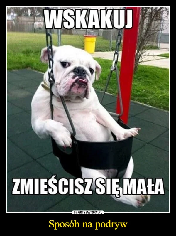 
    Sposób na podryw