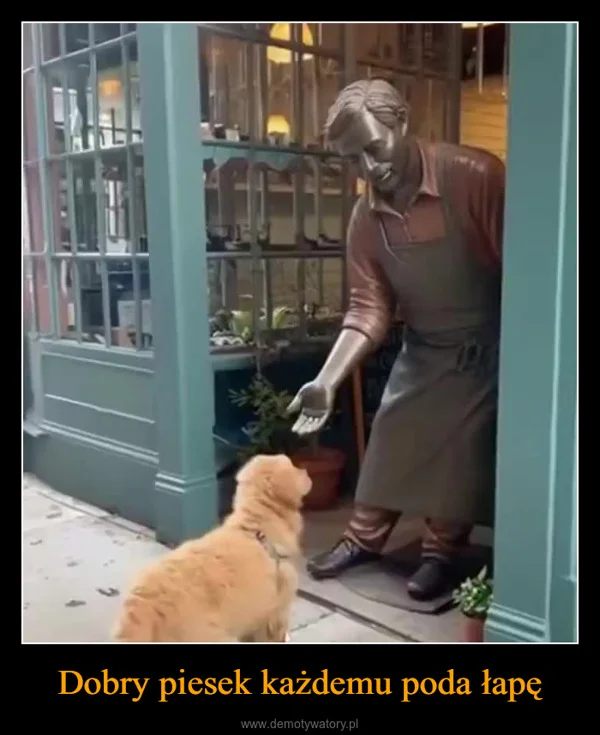 
    Dobry piesek każdemu poda łapę