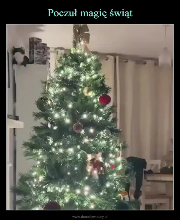 
    Poczuł magię świąt