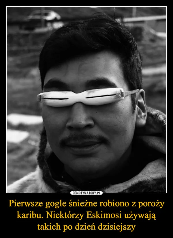 
    Pierwsze gogle śnieżne robiono z poroży karibu. Niektórzy Eskimosi używają takich po dzień dzisiejszy