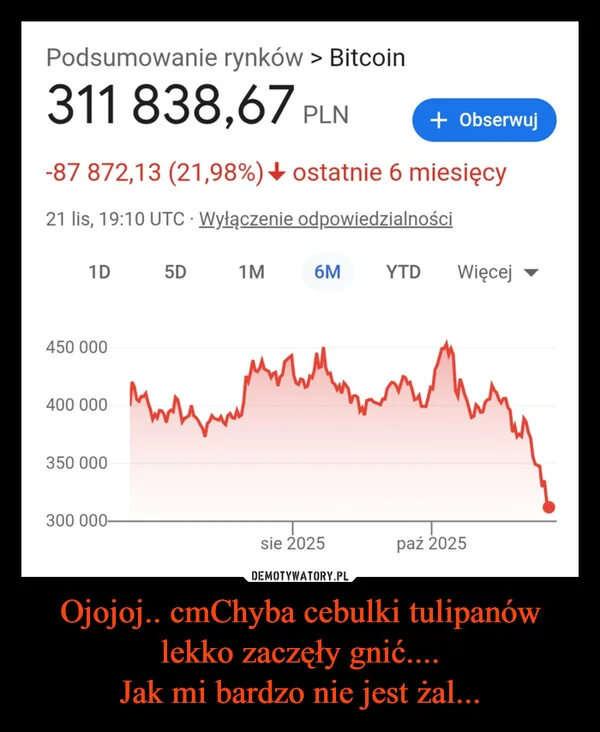 
    Ojojoj.. cmChyba cebulki tulipanów lekko zaczęły gnić.... Jak mi bardzo nie jest żal...