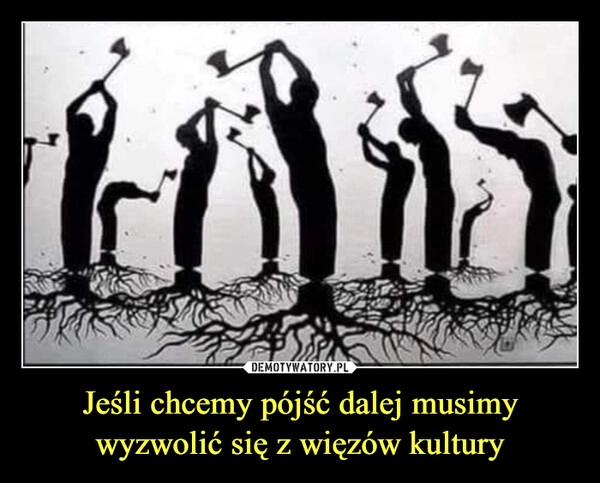 
    Jeśli chcemy pójść dalej musimy wyzwolić się z więzów kultury