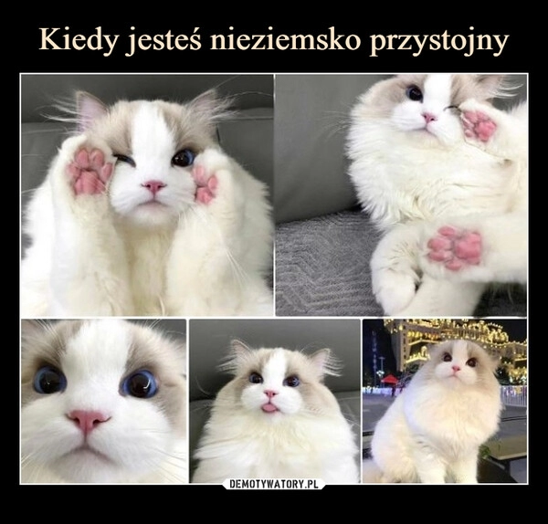 
    Kiedy jesteś nieziemsko przystojny