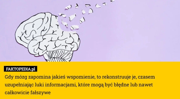 
    Gdy mózg zapomina jakieś wspomienie, to rekonstruuje je, czasem uzupełniając