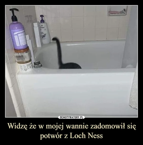 
    Widzę że w mojej wannie zadomowił się potwór z Loch Ness
