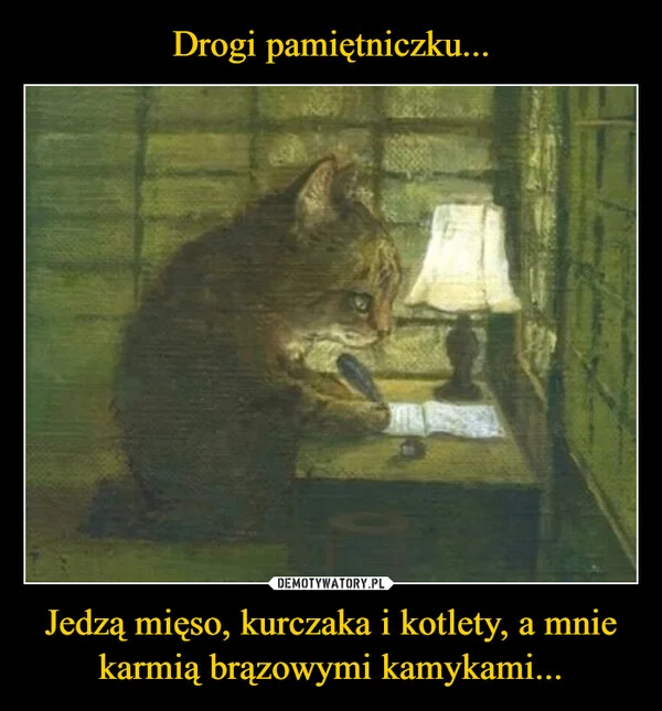 
    Drogi pamiętniczku... Jedzą mięso, kurczaka i kotlety, a mnie karmią brązowymi kamykami...