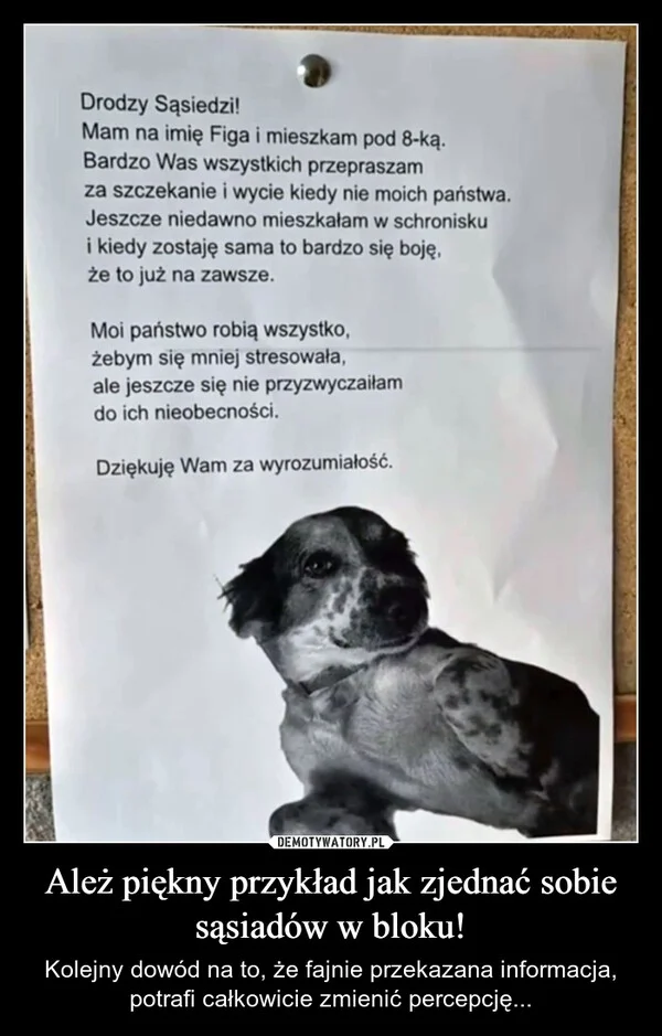 
    Ależ piękny przykład jak zjednać sobie sąsiadów w bloku!