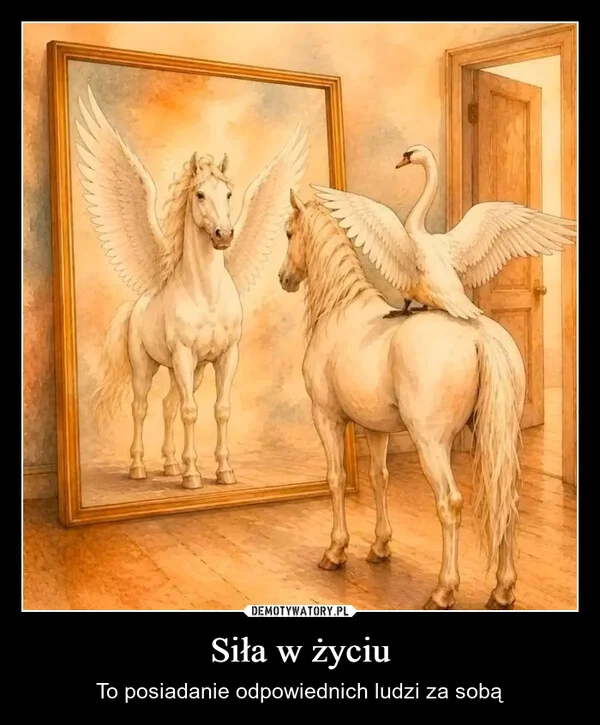 
    Siła w życiu