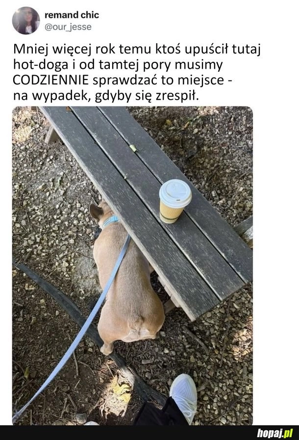 
    Kto wie, kto wie, może akurat