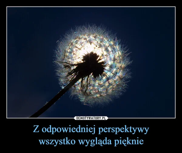 
    Z odpowiedniej perspektywy wszystko wygląda pięknie