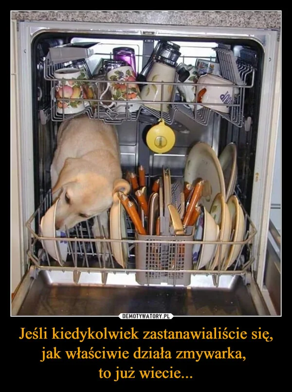 
    Jeśli kiedykolwiek zastanawialiście się, jak właściwie działa zmywarka, to już wiecie...