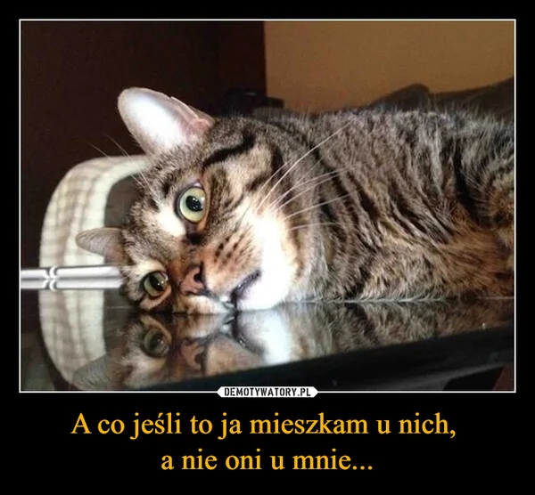 
    A co jeśli to ja mieszkam u nich, a nie oni u mnie...