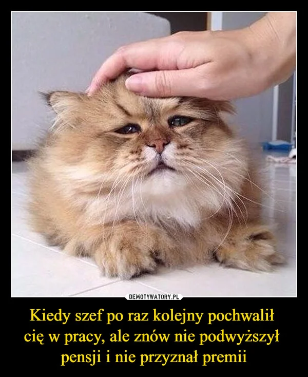 
    Kiedy szef po raz kolejny pochwalił cię w pracy, ale znów nie podwyższył pensji i nie przyznał premii