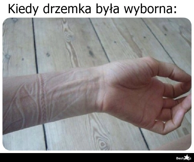 
    Drzemka 