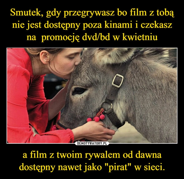 
    Smutek, gdy przegrywasz bo film z tobą nie jest dostępny poza kinami i czekasz na  promocję dvd/bd w kwietniu a film z twoim rywalem od dawna dostępny nawet jako "pirat" w sieci.