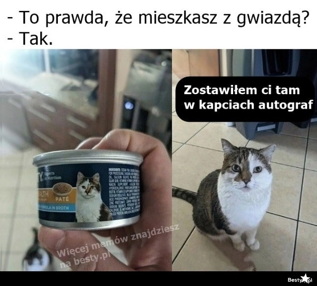 
    Gwiazda w domu 