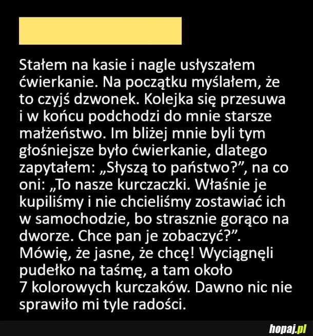 
    Zrobili mu dzień