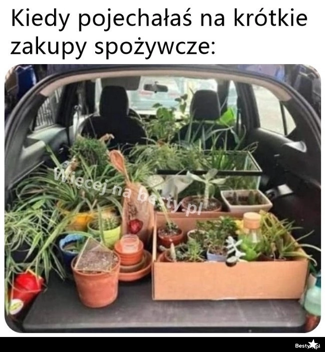 
    Czasem tak to się kończy 