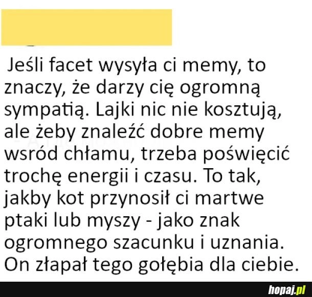 
    Jeśli facet wysyła ci memy