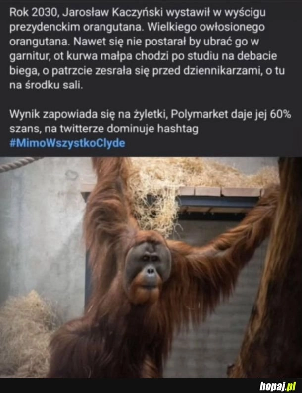 
    Małpocki