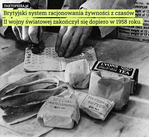 
    Brytyjski system racjonowania żywności z czasów II wojny światowej zakończył...
